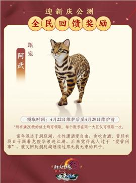 旷世天龙八部私服